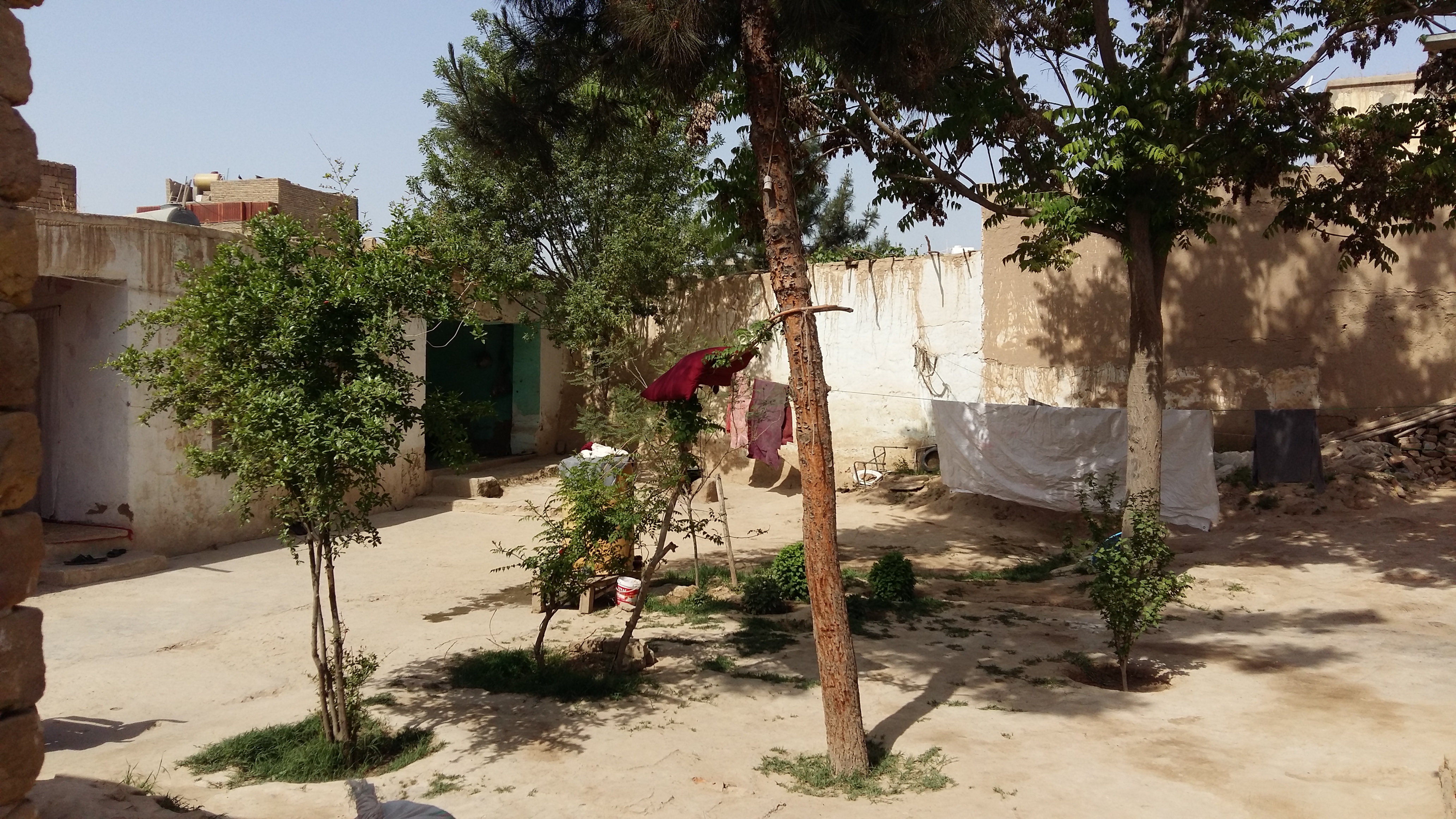 تصویر نمایش داده نشد